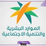 بعنوان الاندماج الوظيفي.. الموارد البشرية تكشف عقد دورة تدريبية جديدة