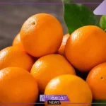 تفسير البرتقال في المنام وعلاقته بتحسين الأحوال لابن سيرين 