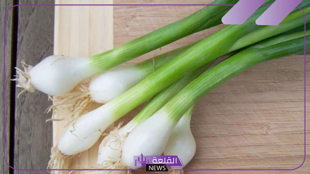 تفسير حلم أكل ورؤية البصل الاخضر في المنام لابن سيرين 5 دلالات البصل الأخضر في المنام