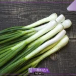 تفسير حلم أكل ورؤية البصل الاخضر في المنام لابن سيرين
