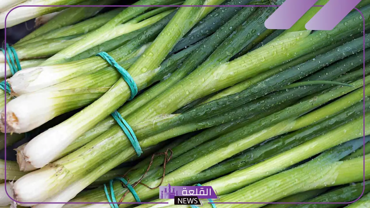 تفسير حلم أكل ورؤية البصل الاخضر في المنام لابن سيرين 6 البصل الاخضر في المنام للعزباء