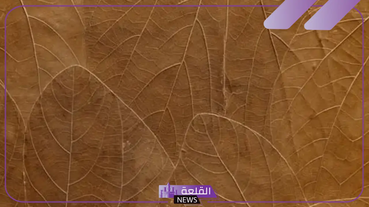ما تفسير اللون البني في المنام وماذا يعني لابن سيرين 6 اللون البني في منام العزباء