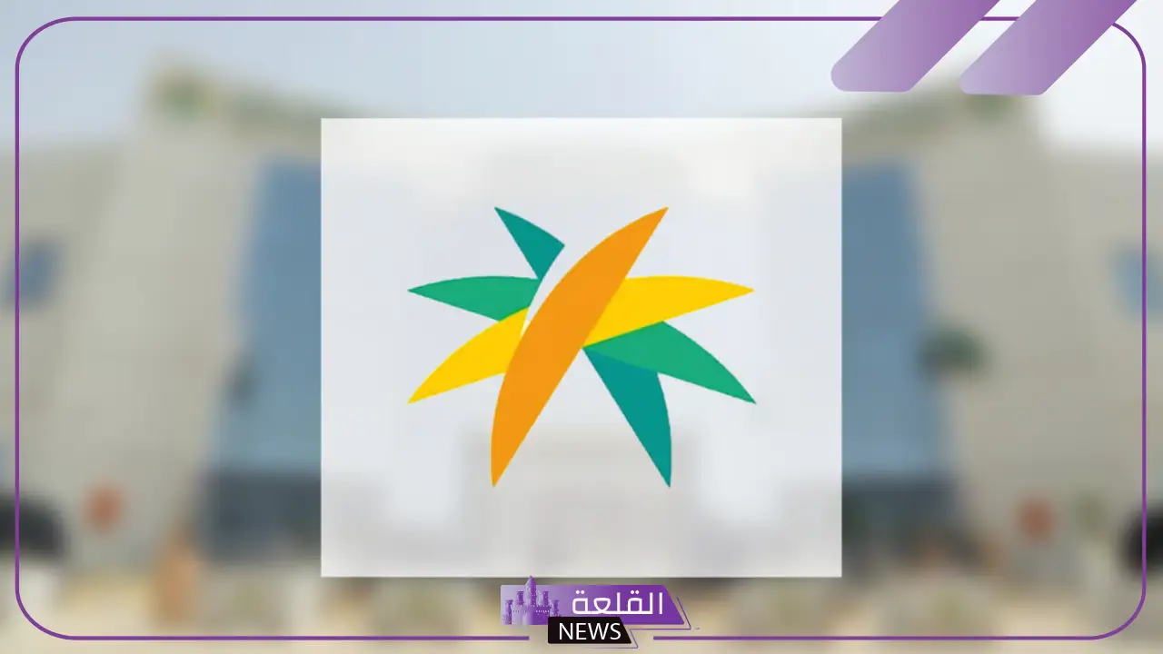 الموارد البشرية.. إلزام الكفيل وصاحب العمل بتعويض الحامل بمبالغ هائلة في عدة حالات