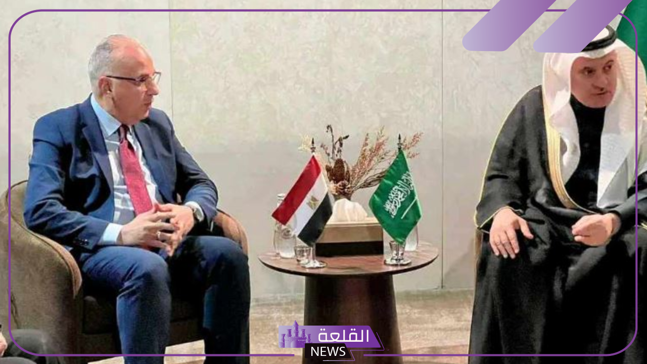 تعرف على التفاصيل.. وزير الري يلتقى بوزير البيئة والمياه الزراعي ضمن فعاليات مؤتمر كوب 16