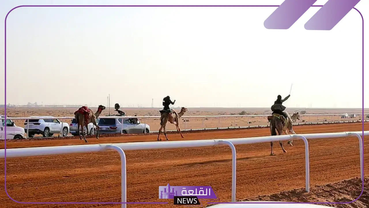 شاهد.. الشمري والرشيدي تتألقان بسباقات الهجن في مشاركة دولية 5 سباقات الهجن الدولية الشمري والرشيدي تحققان إنجازات مميزة