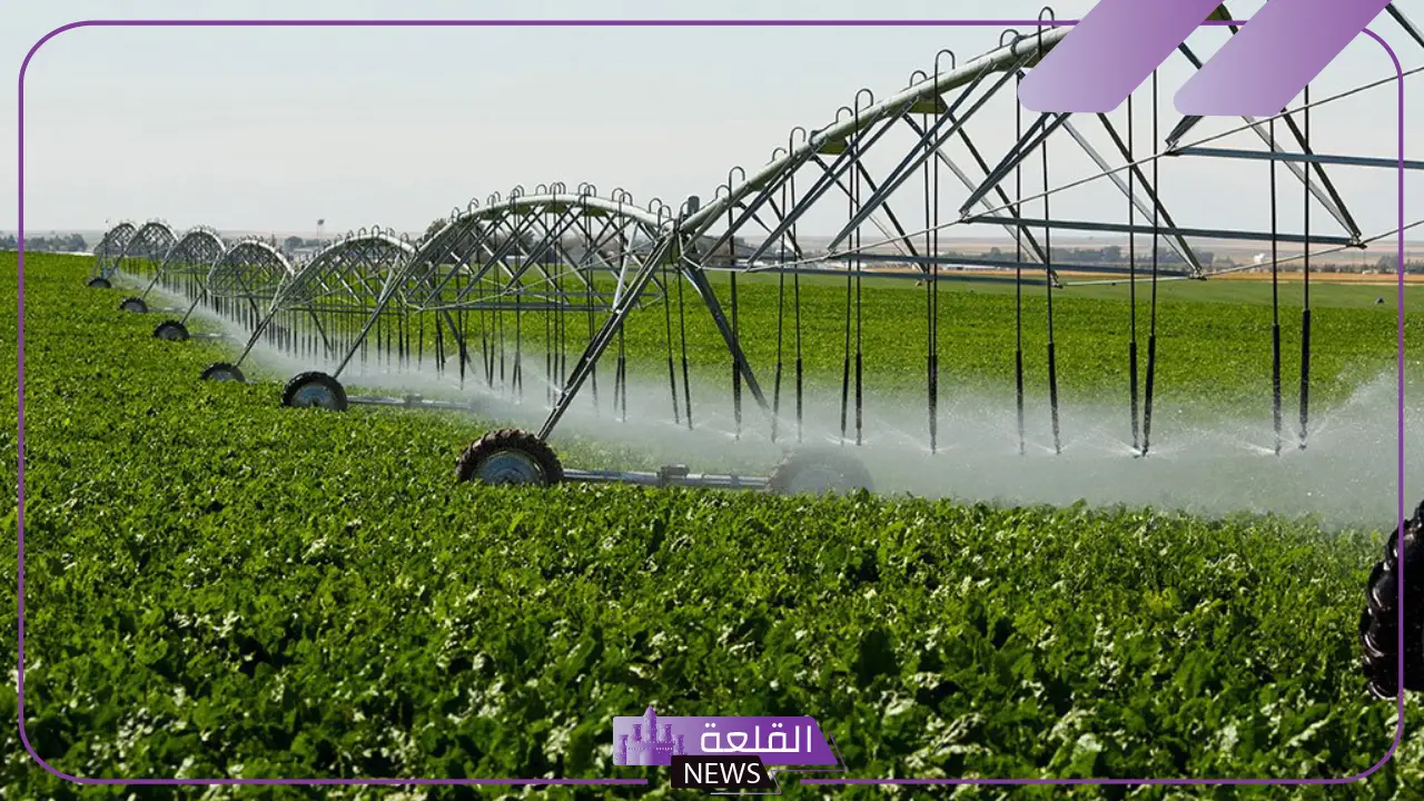 تفاصيل.. كيف نجحت مصر في زيادة الرقعة الزراعية 2 مليون فدان؟ 5 ارتفاع المساحات الزراعية بحوالي 2 مليون فدان