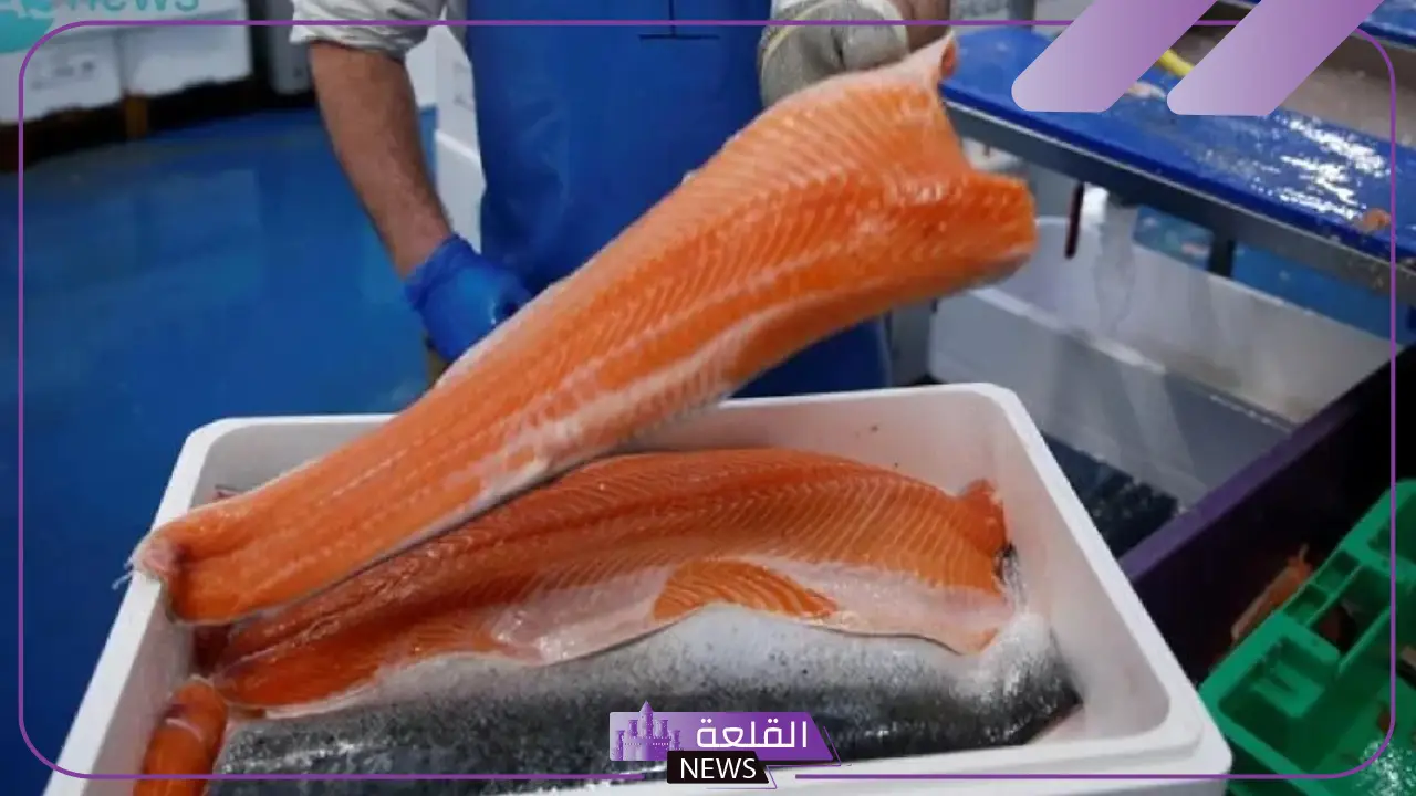 بناء أكبر مركز بالشرق الأوسط لإنتاج السلمون