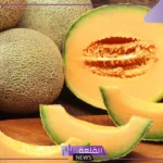 ما تفسير رؤية حلم الشمام في المنام لابن سيرين