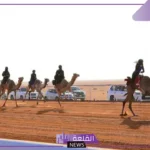 شاهد.. الشمري والرشيدي تتألقان بسباقات الهجن في مشاركة دولية