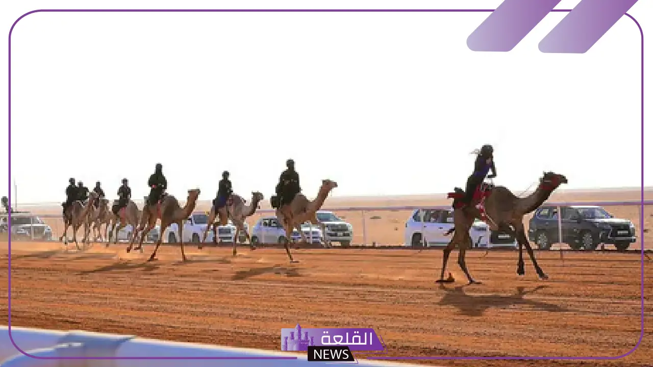 شاهد.. الشمري والرشيدي تتألقان بسباقات الهجن في مشاركة دولية