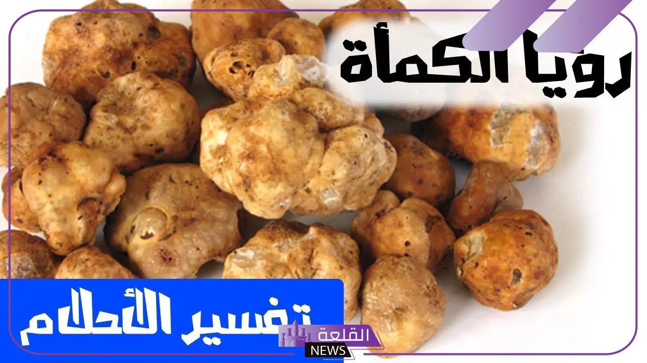تفسير حلم الفقع بالمنام الزبيدي في المنام لابن سيرين 6 الفقع بالمنام للعزباء
