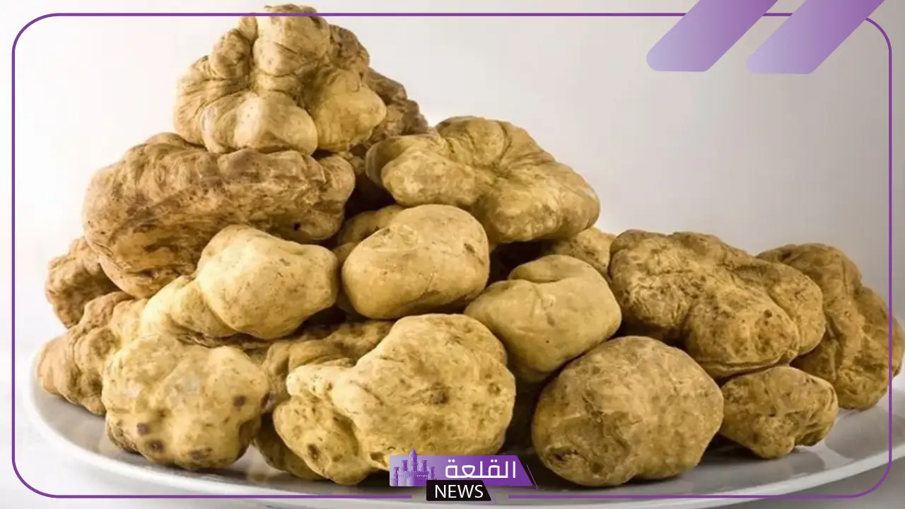 تفسير حلم الفقع للعزباء في المنام لكبار المفسرين 6 معنى الفقع في منام العزباء