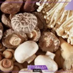 تفسير حلم الفقع بالمنام الزبيدي في المنام لابن سيرين