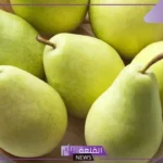 تفسير حلم أكل ورؤية الكمثرى في المنام لابن سيرين