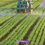 تفاصيل.. كيف نجحت مصر في زيادة الرقعة الزراعية 2 مليون فدان؟