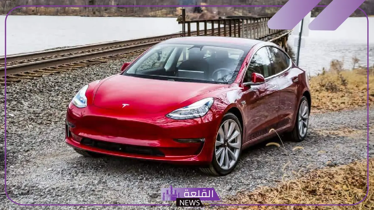 بعد مواقف ماسك الأخيرة.. أصحاب سيارات تسلا يشعرون بالحرج من مركباتهم 5 تصريحات ايلون ماسك
