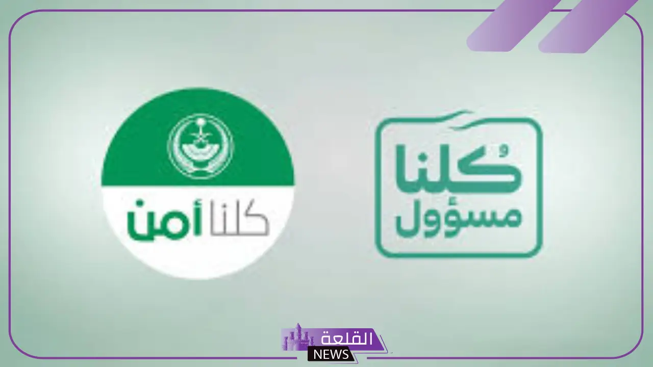 لديك طريقتان فقط للإبلاغ.. الأمن العام يصدر تحذير من الروابط المزيفة