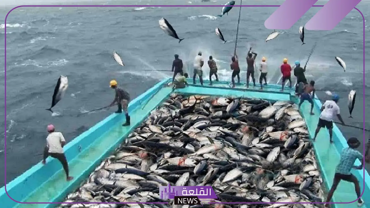 تفسير حلم اصطياد السمك في المنام لابن سيرين والنابلسي وعلاقته بالرزق 5 صيد السمك للعزباء