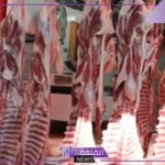 تفسير حلم الذبيحه المطبوخه في المنام وأكلها للحامل والمتزوجة لابن سيرين