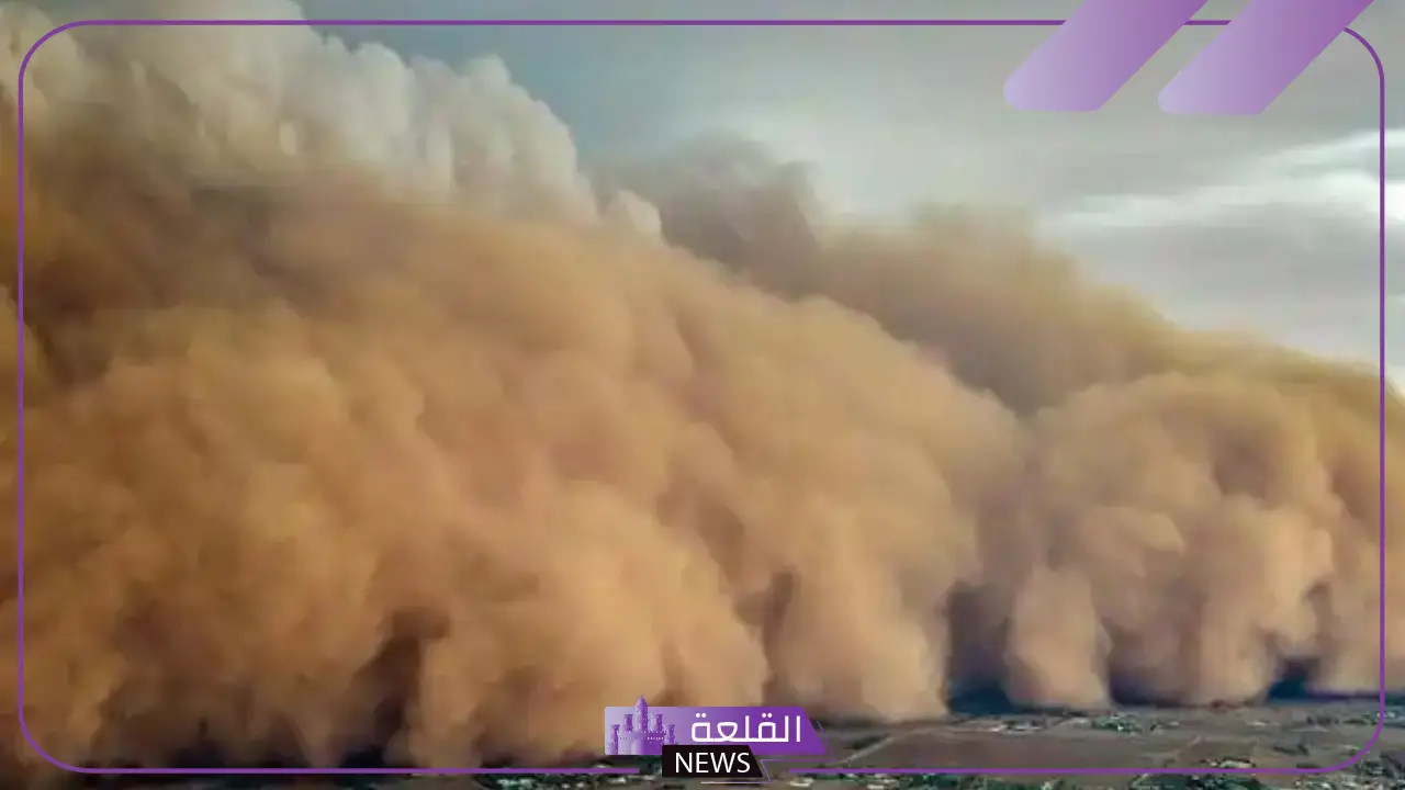 تفسير حلم العج في المنام للمتزوجة والعزباء وفقًا لابن سيرين 5 العج في حلم الرجل