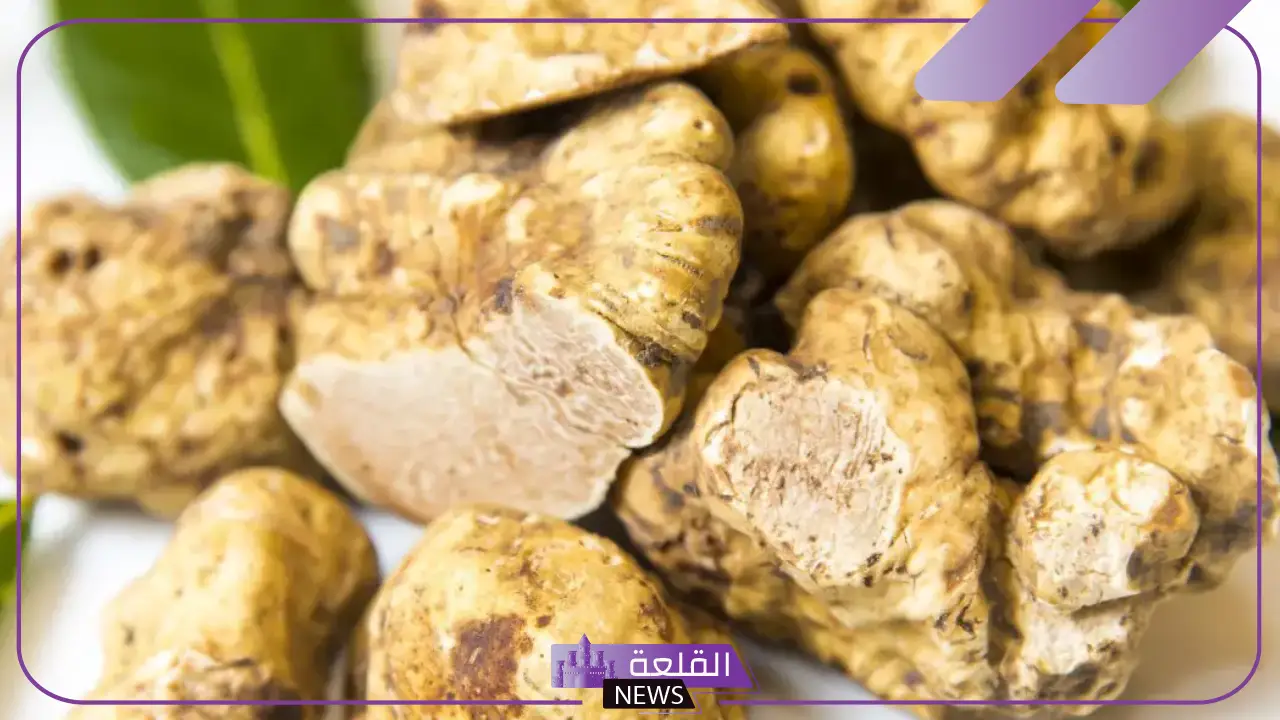 تفسير حلم الفقع في المنام فهد العصيمي والنابلسي وابن سيرين 5 الفقع في المنام للنابلسي