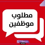 قدم الآن.. وزارة الشباب والرياضة تفتح باب التوظيف في 6 تخصصات مختلفة