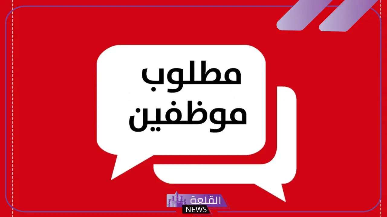 قدم الآن.. وزارة الشباب والرياضة تفتح باب التوظيف في 6 تخصصات مختلفة