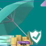 تعرف على التفاصيل.. كيف تتمكن شركات تأمين الأموال من الحصول على أرباح طائلة؟