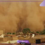 تفسير حلم العج في المنام للمتزوجة والعزباء وفقًا لابن سيرين