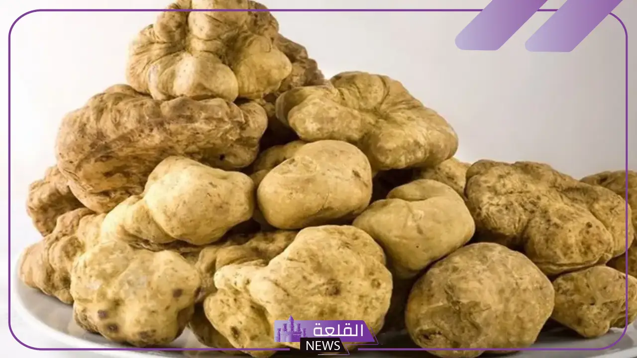 تفسير حلم الفقع في المنام فهد العصيمي والنابلسي وابن سيرين 1 رؤية الفقع في المنام