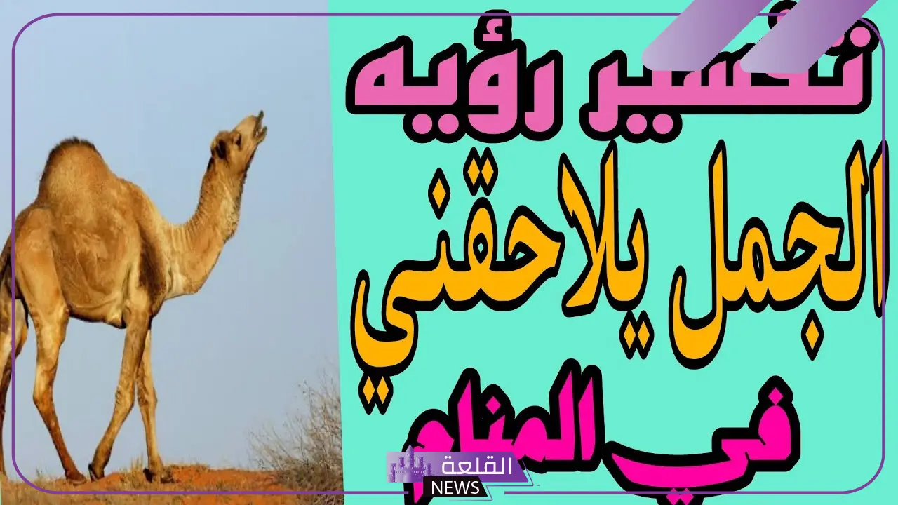 تفسير حلم رؤية الجمل في المنام يلاحقني لابن سيرين