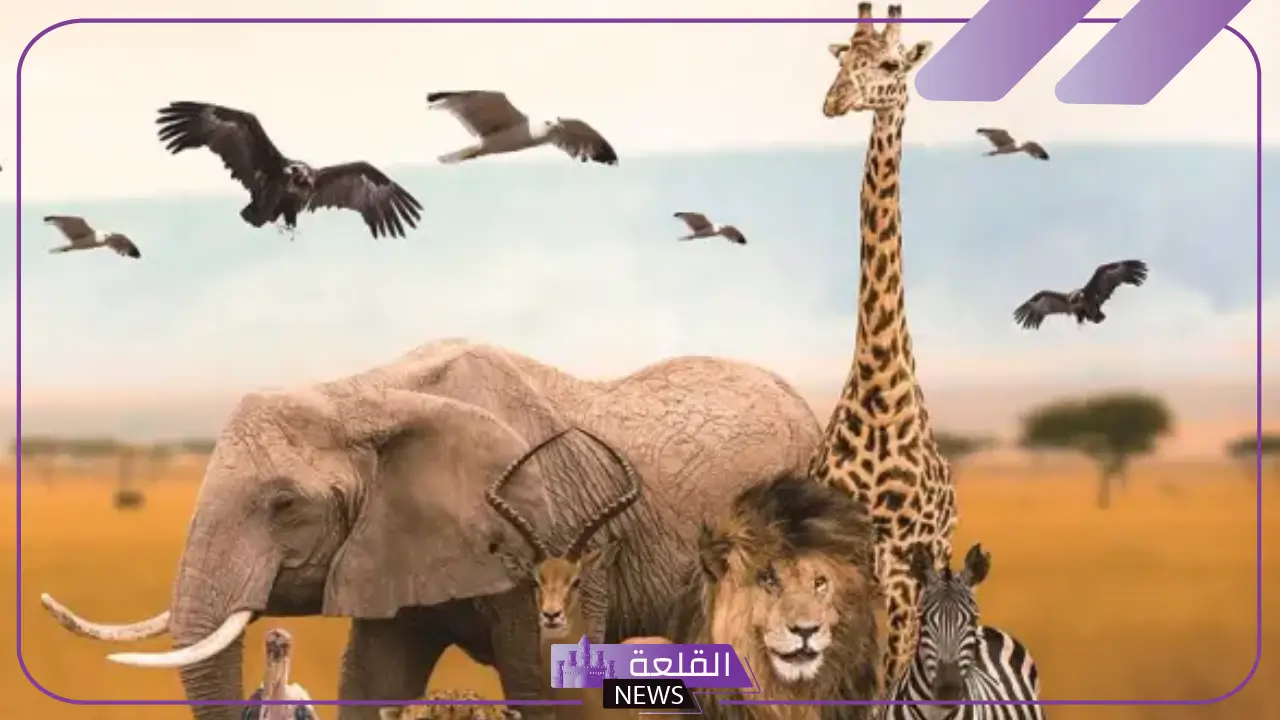 تفسير حلم رؤية الحيوانات في المنام لابن سيرين .. دلالات الحيوانات تفسير حلم رؤية الحيوانات في المنام لابن سيرين .. دلالات الحيوانات