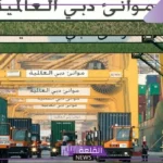 الوظائف بجدة والخبر.. فرص عمل بشركة موانئ دبي للسعوديين في العديد من التخصصات