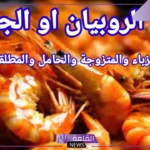 تفسير حلم أكل الروبيان في المنام للمتزوجة والعزباء لابن سيرين