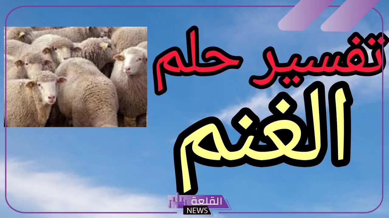 تفسير رؤية الغنم في المنام للمتزوجة لابن سيرين ورؤيتهم 6 تفسير النابلسي حلم الغنم