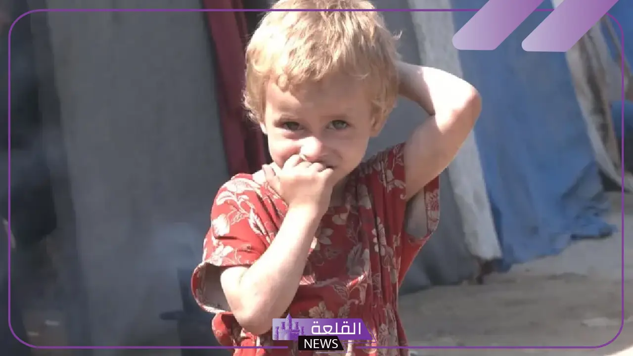 بسبب تجمد 3 رضع في الخيام.. اليونسيف تصدر تحذير هام: أطفال غزة يموتون من البرد