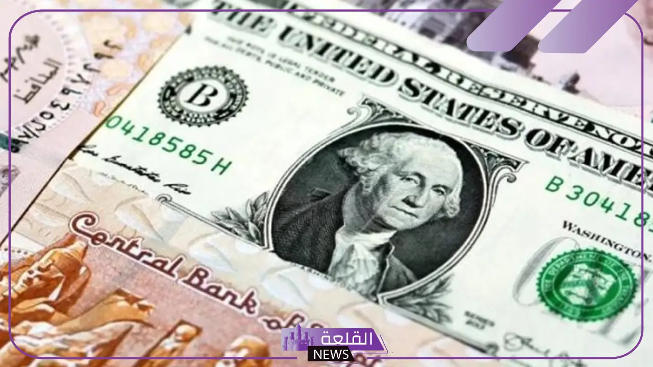 بعد الزيادة الأخيرة.. سعر الدولار الأمريكي أمام الجنيه المصري اليوم الإثنين 9 ديسمبر 14 بعد الزيادة الأخيرة.. سعر الدولار الأمريكي أمام الجنيه المصري اليوم الإثنين 9 ديسمبر