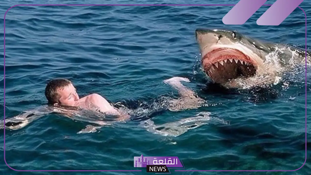 بسبب هجوم سمك القرِش.. وفاة سائح ووزارة البيئة تتابع الحادث بشمال مرسى علم
