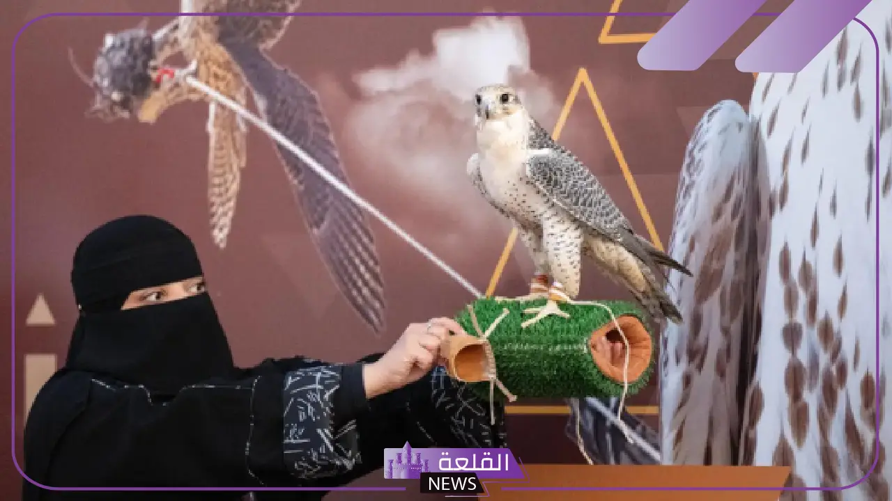 لا يفوتك.. الصقارات السعوديات بمظهر رائع في مهرجان الملك عبد العزيز للصقور 2024