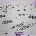 شاهد.. دارة الملك عبد العزيز تنشر صور نادرة للإبل يعود تاريخها إلى 1947