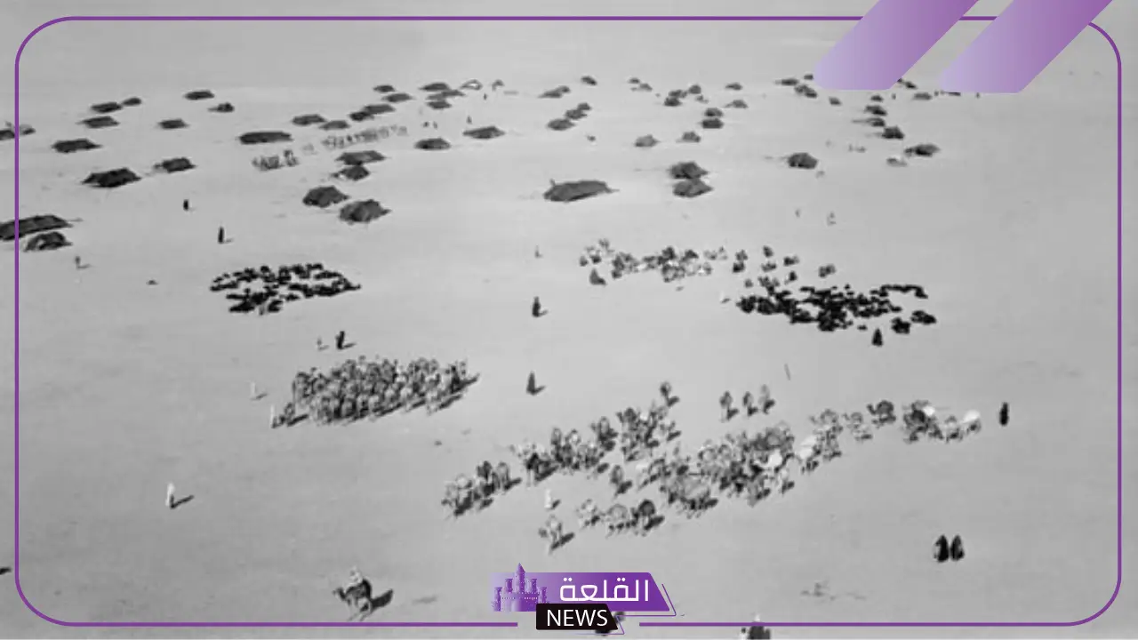 فعاليات مهرجان المؤسس للجمال