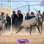 لا يفوتك.. إطلاق أكثر من 66 ظبي وريم ومها وطيور في محمية الملك خالد الملكية