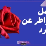 كلمات عن الورد جميلة رائعة.. أجمل ما قيل في الورد