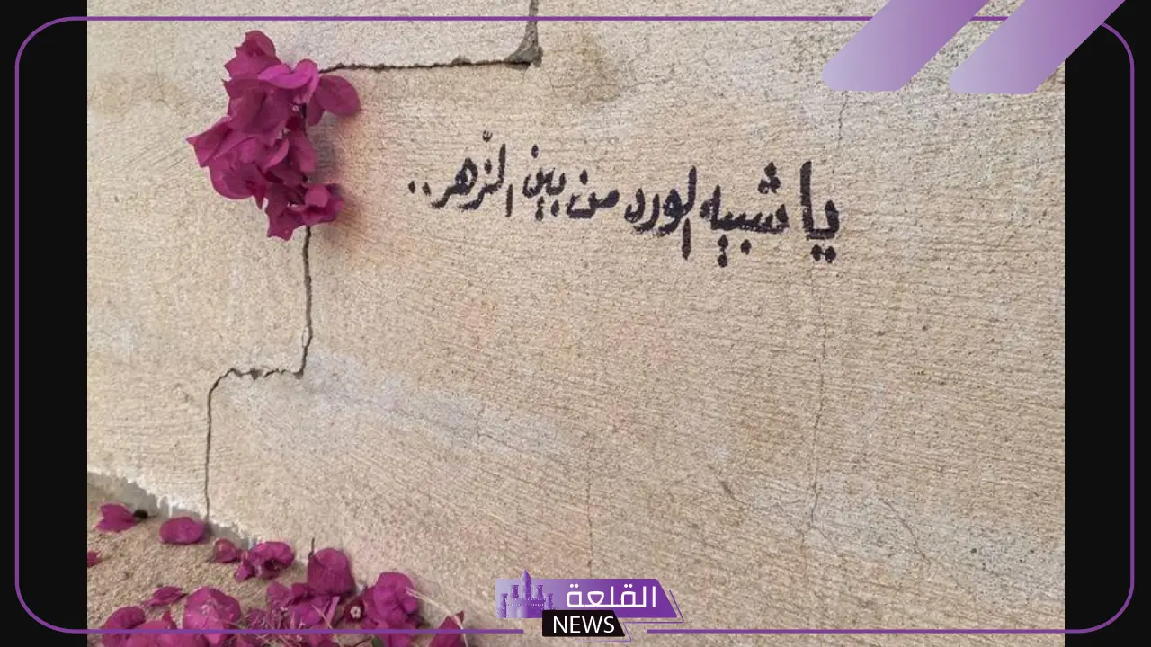 كلمات عن الورد جميلة رائعة.. أجمل ما قيل في الورد 6 عبارات عن الورد مميزة