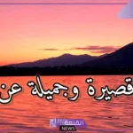 كلمات جميلة جدا ومعبرة عن الحياة والناس