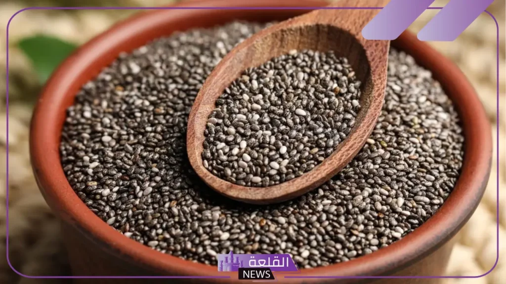 داوم عليها.. 8 فوائد تدفعك لتناول بذور الشيا في الشتاء 5 أبرز 8 فوائد لتناول بذور الشيا