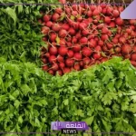 شاهد.. فواكه الشتاء تغزو أسواق الشرقية والورقيات سعرها في الطالع