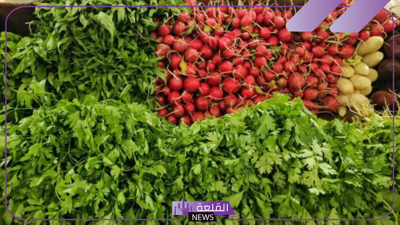 شاهد.. فواكه الشتاء تغزو أسواق الشرقية والورقيات سعرها في الطالع