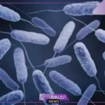 العلاج مستحيل.. انتشار سلالة جديدة من الكوليرا وتحذيرات الخبراء