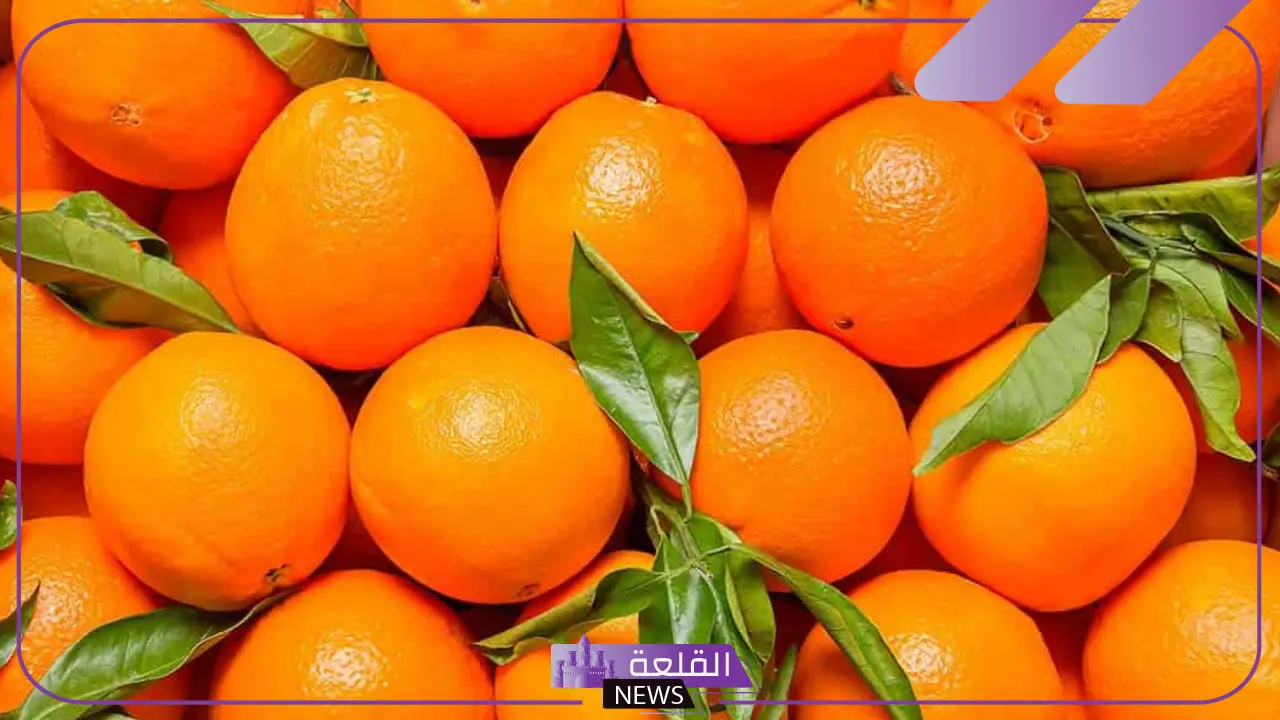تفسير حلم اكل البرتقال في المنام وعلاقته بالنجاح لابن سيرين 